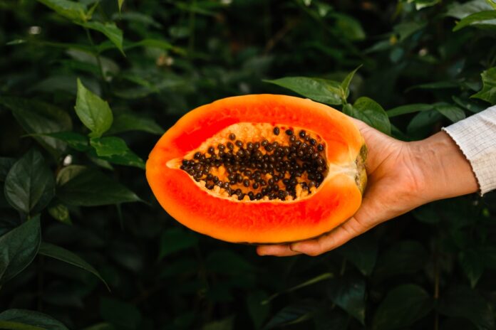mamao-maduro-pode-potencializar-beneficios-ao-intestino