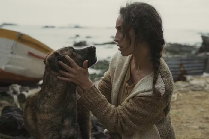 cadela-e-premiada-em-cannes-por-filme-com-selton-mello