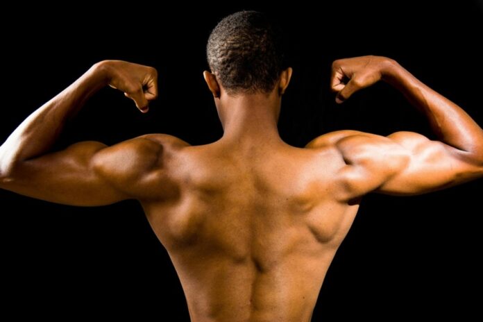 e-vegetariano-e-quer-ganhar-musculos?-veja-em-quais-alimentos-apostar