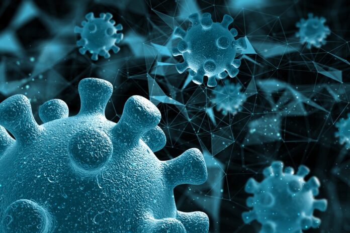 cientistas-descobrem-virus-gigante-com-replicacao-inedita.-entenda