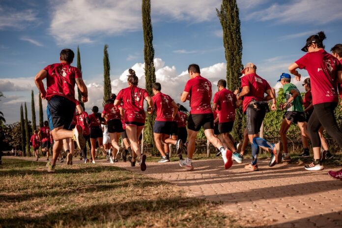 df-recebe-corrida-do-vinho-da-expovitis-brasil-2026-com-esporte,-enoturismo-e-experiencia-sensorial-no-cerrado