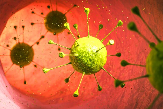 estudo-revela-virus-oculto-em-bacteria-ligada-ao-cancer-colorretal