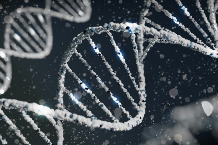 pela-primeira-vez,-tecnica-altera-genes-em-embrioes-com-alta-precisao