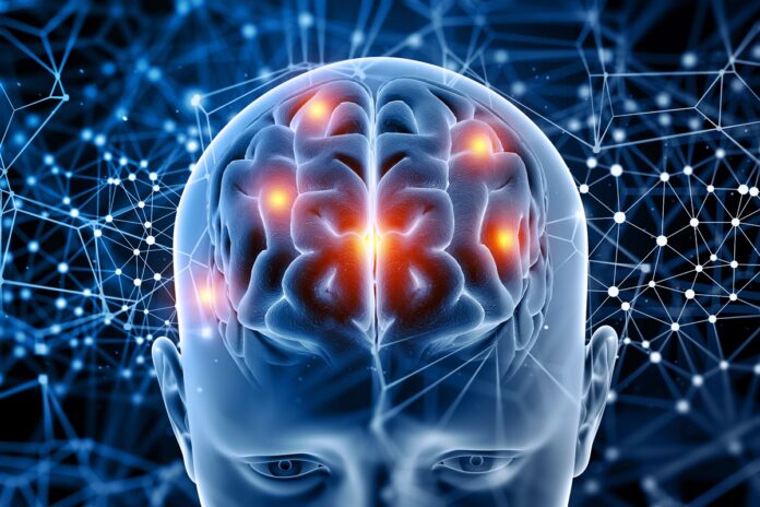 cientistas-criam-o-mais-detalhado-atlas-3d-do-tronco-encefalico-humano