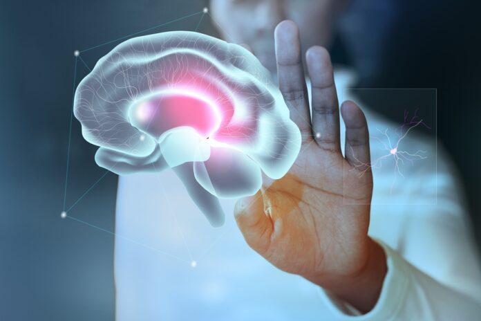 vitamina-b3-pode-ajudar-no-tratamento-de-cancer-cerebral-agressivo