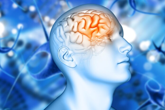 proteina-que-acelera-o-desenvolvimento-do-alzheimer-e-identificada