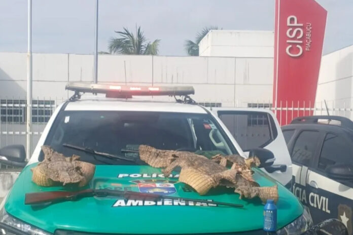policia-apreende-espingarda-e-pele-de-tres-jacares-em-alagoas