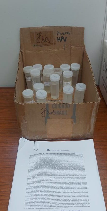 estudo-da-unb-amplia-monitoramento-do-hpv-e-reforca-avancos-na-prevencao-do-cancer-de-colo-do-utero