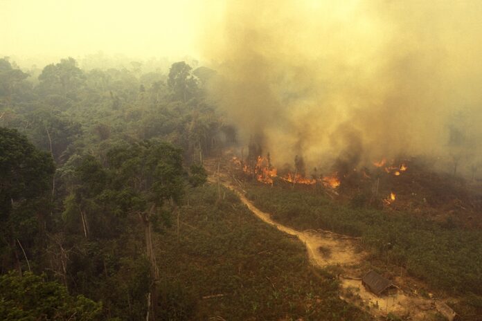 ia-contra-o-fogo:-tecnologia-preve-queimadas-na-amazonia-14-dias-antes