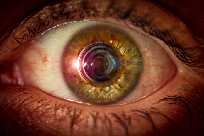 cientistas-fazem-retinas-responderem-a-luz-ate-10-horas-apos-a-morte