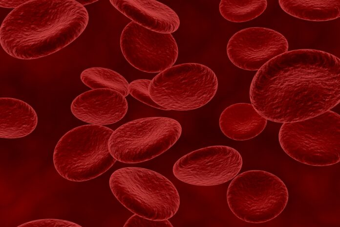 canceres-de-sangue-podem-evoluir-sem-sintomas-por-anos,-alerta-medico