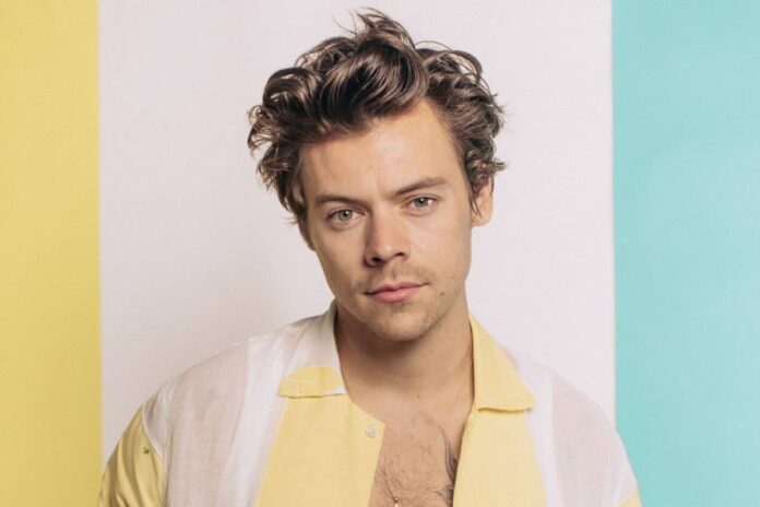 show-de-harry-styles-em-sao-paulo-e-cancelado-por-“problema-de-saude”