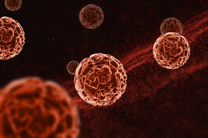 estudo-mostra-que-reservas-de-gordura-podem-ajudar-a-combater-virus