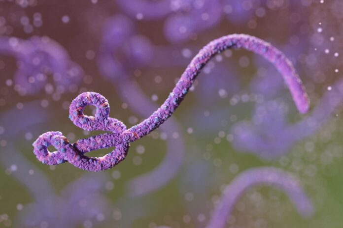 vacinas-contra-ebola-podem-ser-eficazes-contra-variante-sem-imunizante