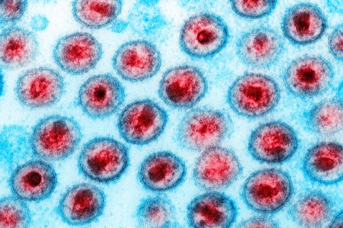dois-novos-casos-de-possivel-cura-do-hiv-sao-anunciados-em-conferencia