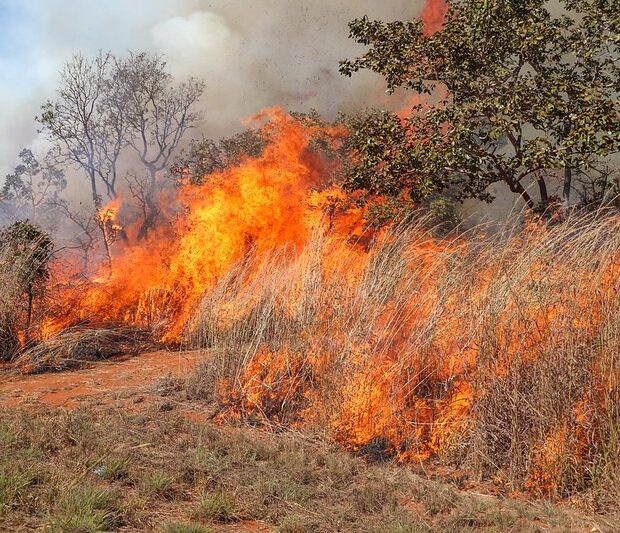 queimar-lixo-ou-limpar-terreno-com-fogo-pode-levar-a-prisao;-seca-amplia-risco-de-incendios-no-cerrado