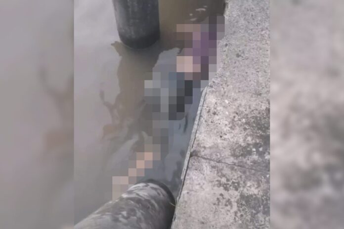 pa:-adolescente-desaparecida-e-achada-morta-em-terminal-hidroviario