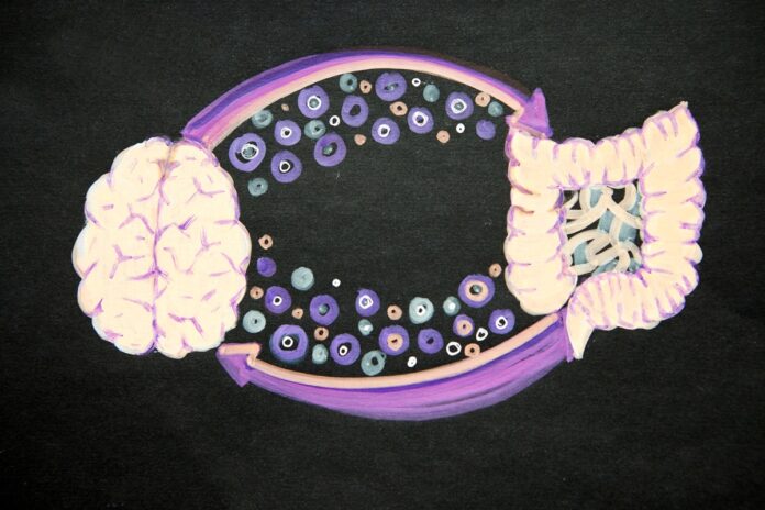 bacterias-intestinais-podem-ter-relacao-com-tracos-de-psicopatia