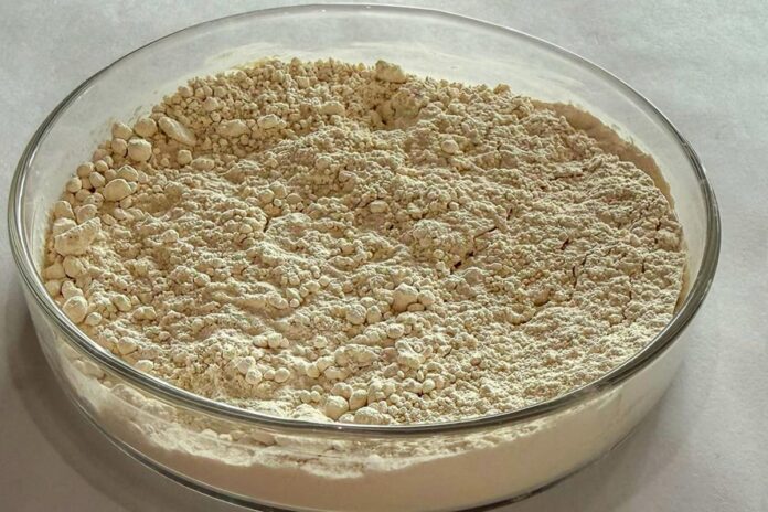 pesquisa-brasileira-transforma-graos-quebrados-de-feijao-em-proteina