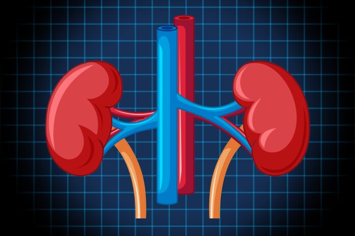 remedios-para-pressao-podem-elevar-em-33%-o-risco-renal-em-diabeticos