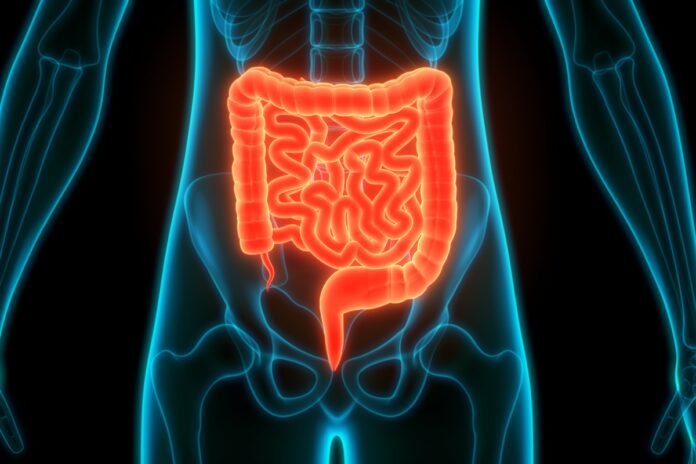 teste-de-fezes-caseiro-reduz-em-ate-43%-mortes-por-cancer-colorretal