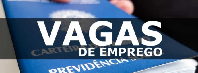 agencias-do-trabalhador-do-df-tem-933-vagas-abertas-nesta-segunda;-salarios-chegam-a-r$-3,7-mil
