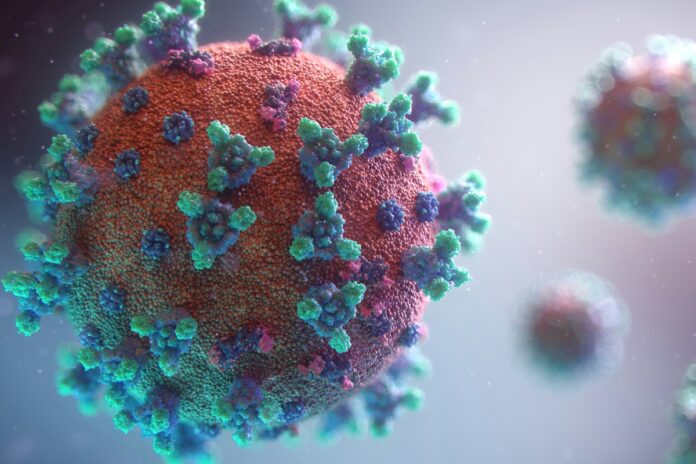 mapa-global-identifica-mais-de-54-mil-virus-ineditos-em-varias-cidades