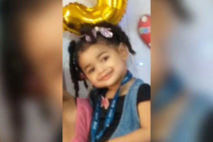 caso-samylle:-tia-de-menina-de-4-anos-que-chegou-morta-em-upa-no-rs-e-presa