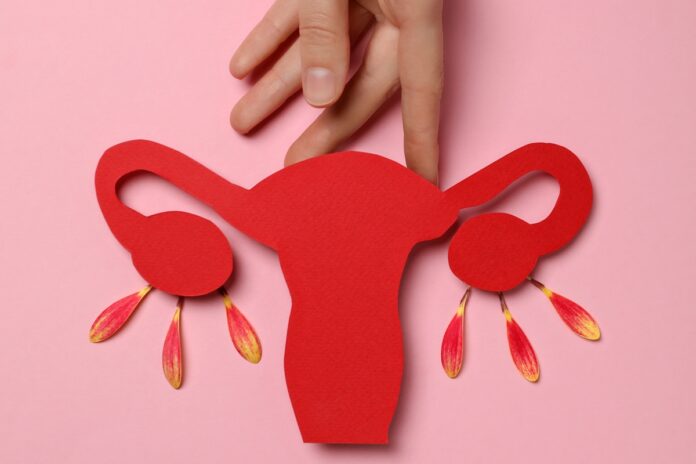 estudo-da-usp-testa-reposicao-hormonal-direcionada-durante-a-menopausa