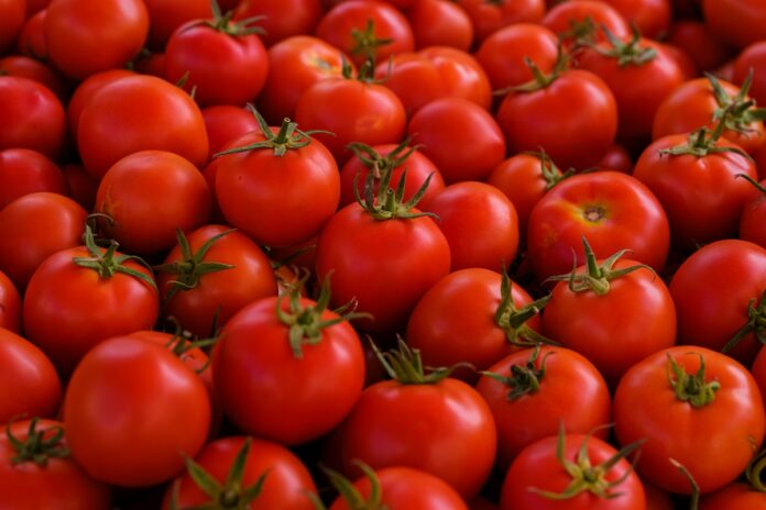 fitoeno:-composto-presente-em-tomates-pode-prevenir-gordura-no-figado