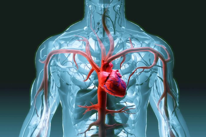 nova-classificacao-do-infarto-busca-facilitar-diagnostico-e-tratamento