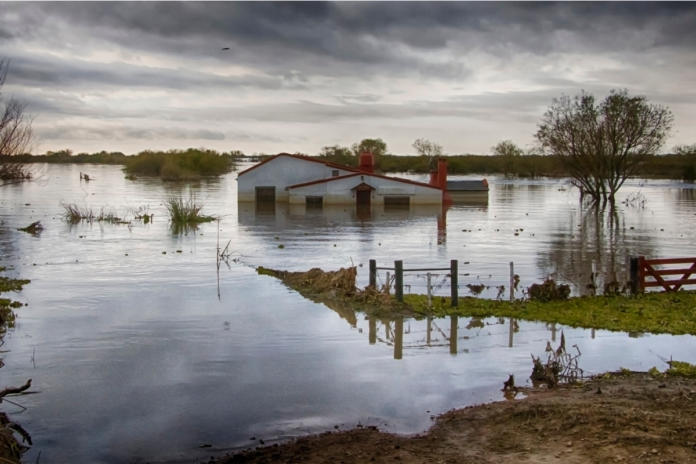 el-nino-intensifica-chuvas-e-eleva-risco-de-doencas-apos-enchentes