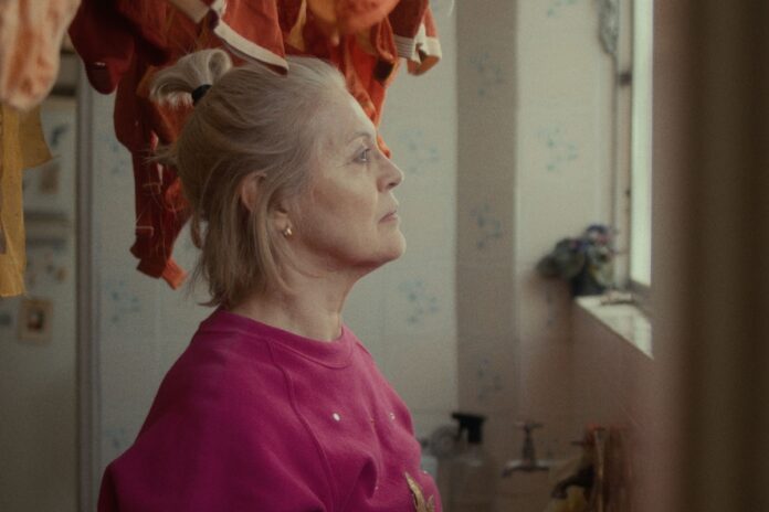 festival-cine-inclusao-60+-anuncia-programacao-com-21-filmes