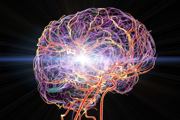 medula-ossea-do-cranio-pode-estar-ligada-a-dor-cronica,-aponta-estudo
