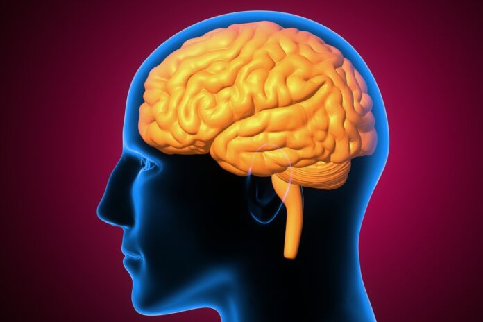 surdez-precoce-muda-como-o-cerebro-distribui-a-visao-periferica