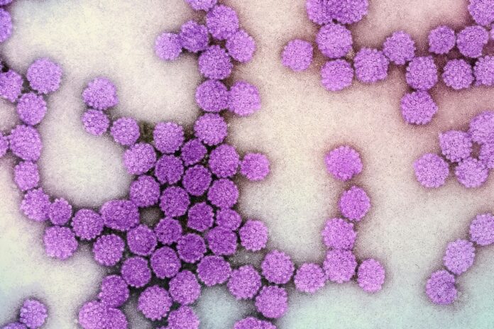 terapia-epigenetica-pode-reduzir-atividade-do-virus-da-hepatite-b