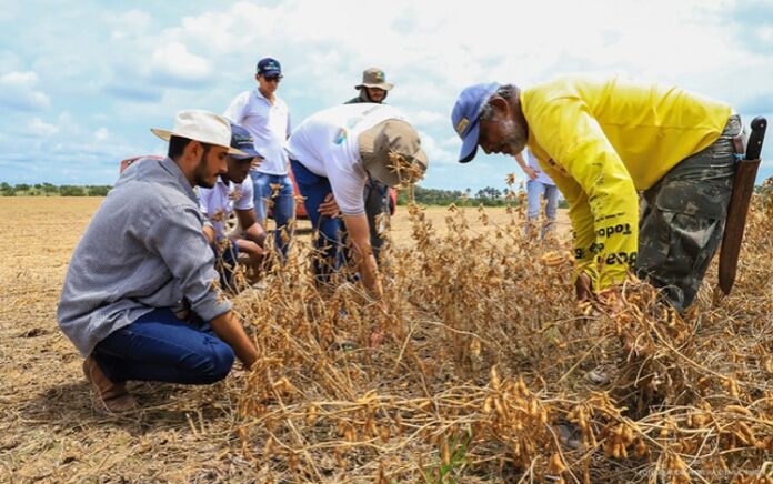 cldf-homenageia-engenheiros-agronomos-em-sessao-solene-nesta-terca-(29)