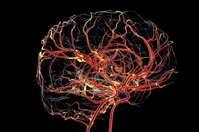 alteracoes-do-alzheimer-podem-surgir-antes-de-falhas-na-memoria,-diz-estudo
