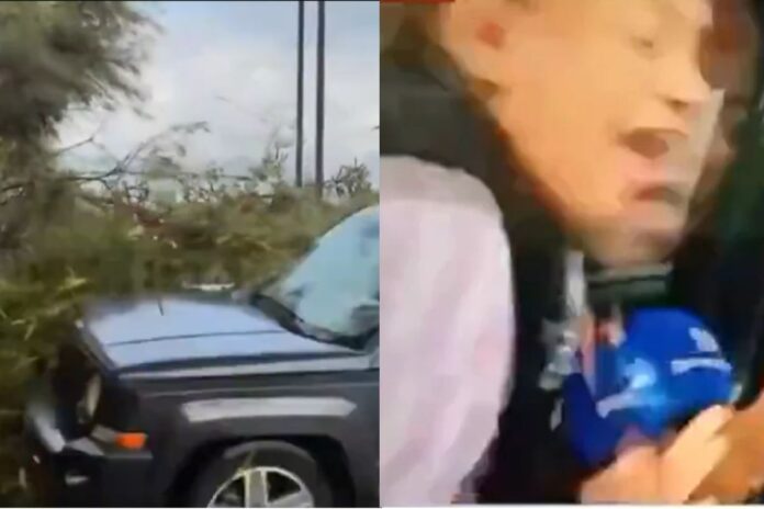 reporter-atropelada-ao-vivo-atualiza-estado-de-saude:-“um-milagre”