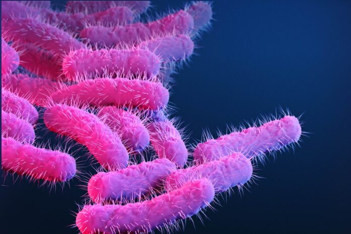 diarreia-transmitida-pelo-sexo-mostra-resistencia-a-antibioticos