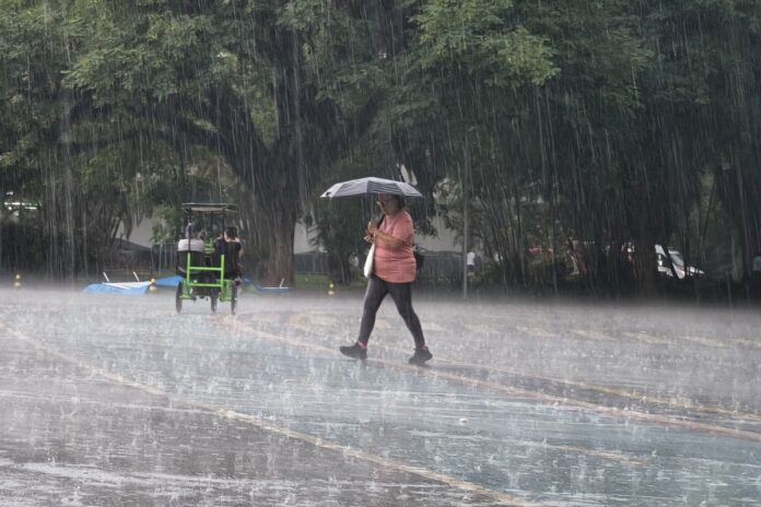clima:-sul,-sudeste-e-centro-oeste-enfrentam-chuvas;-interior-tem-calorao