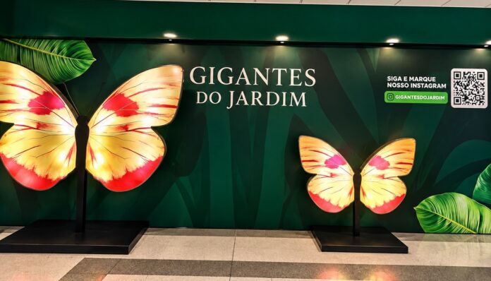 insetos-gigantes-invadem-shopping-em-brasilia