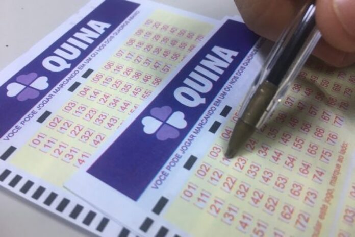 quina-7147-acumula,-e-premio-vai-a-r$-55-milhoes.-veja-resultado