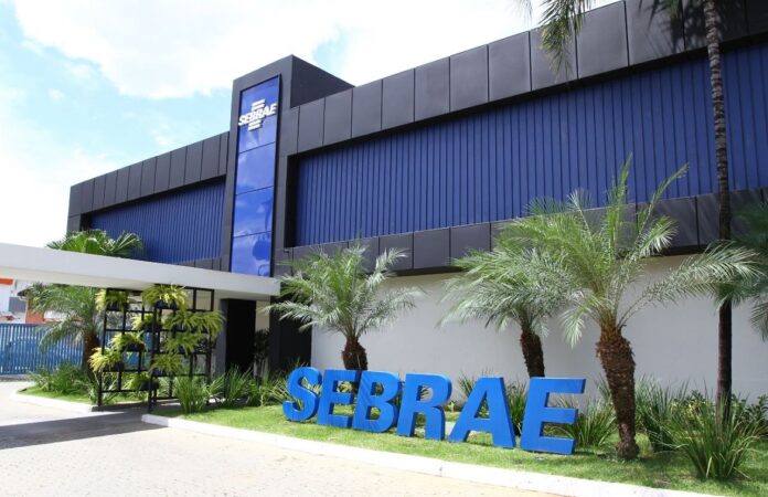 sebrae-df-impulsiona-economia-local-com-capacitacao-e-suporte-a-pequenos-negocios